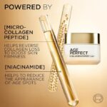 Loreal Paris Age Perfect Collagen Expert Day Cream