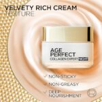 Loreal Paris Age Perfect Collagen Expert Night Cream