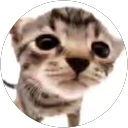 Sayana Sayana profile picture