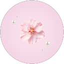 Apsara Shrestha profile picture